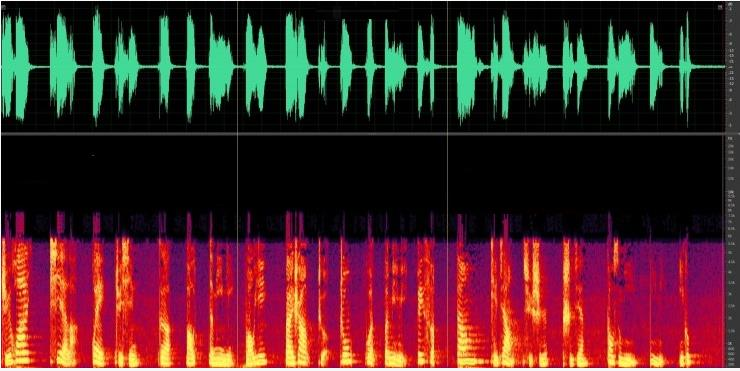 多回路測溫傳感器